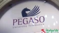 Pegaso Üniversitesi