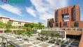 Bicocca Üniversitesi