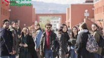 Calabria Üniversitesi