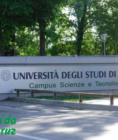 Parma Üniversitesi