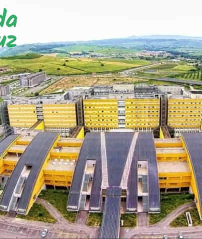 Catanzaro Üniversitesi Başvuru ve Okuma Şartları