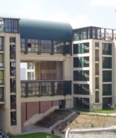 Basilicata Üniversitesi