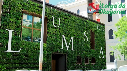 LUMSA Üniversitesi (Roma)