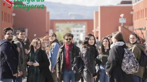 Calabria Üniversitesi