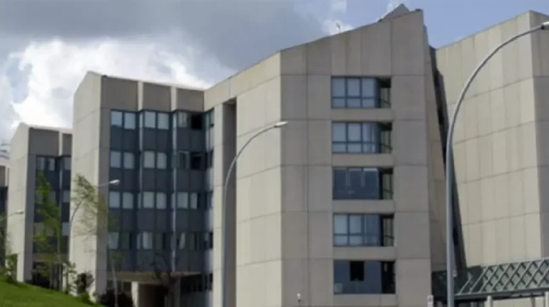 Molise Üniversitesi