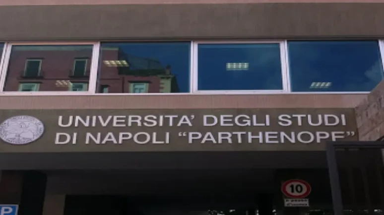 Napoli Üniversiteleri: En İyi Fakülteler, Eğitim İmkanları ve Başvuru Şartları